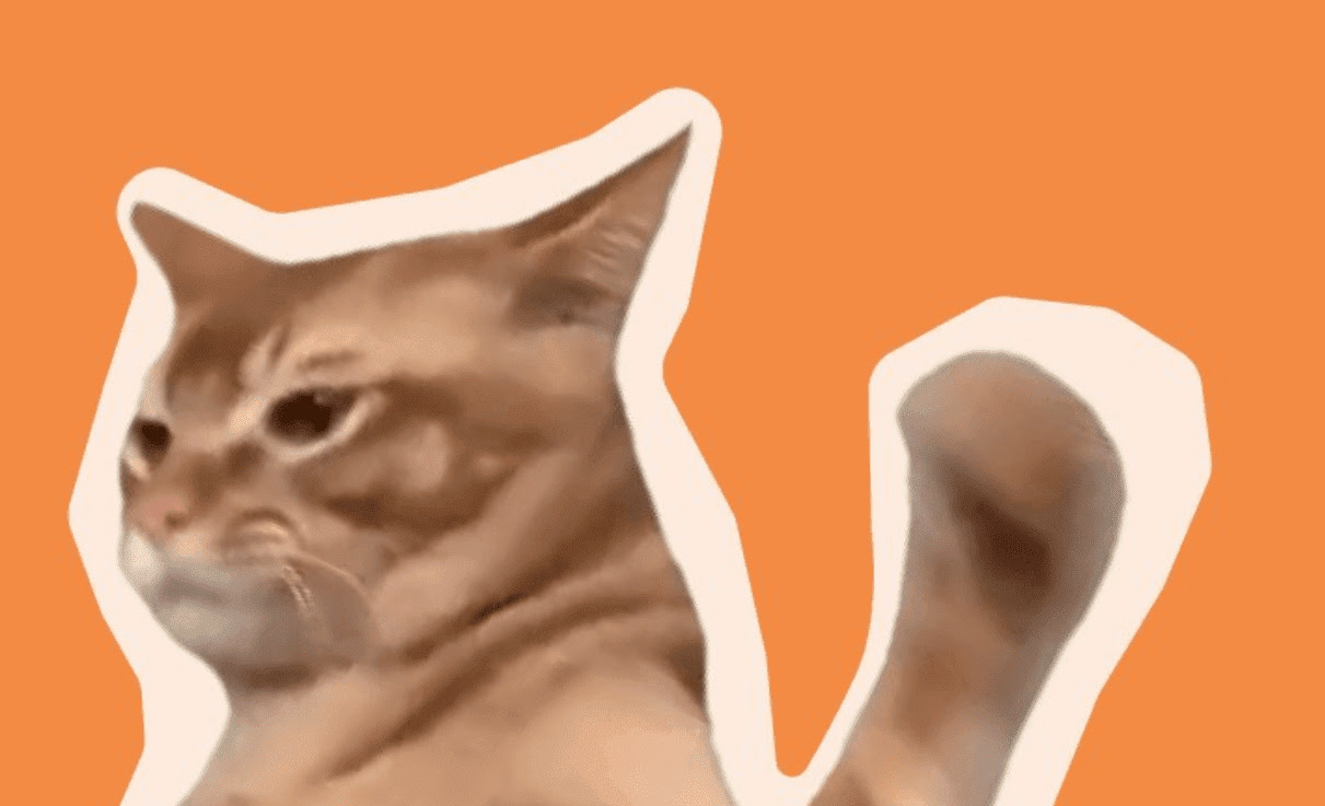 Catslap ($SLAP) Memecoin Launches on Uniswap DEX